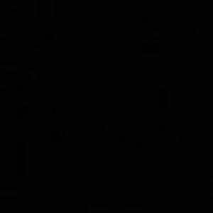 Meet your Posher, Danica